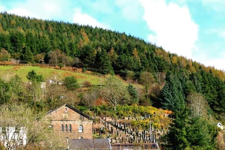 Selah Cottage, 21 Queen Street Pontrhydyfen Habitación foto