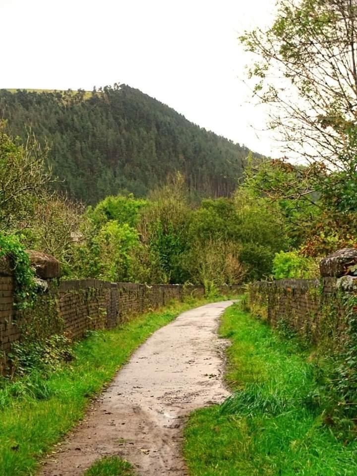 Selah Cottage, 21 Queen Street Pontrhydyfen Habitación foto